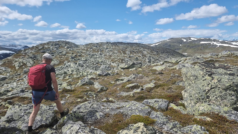 Det ble et stykke bort ryggen til det høyeste punktet. Sørvest for Djupebotn i bakgrunnen