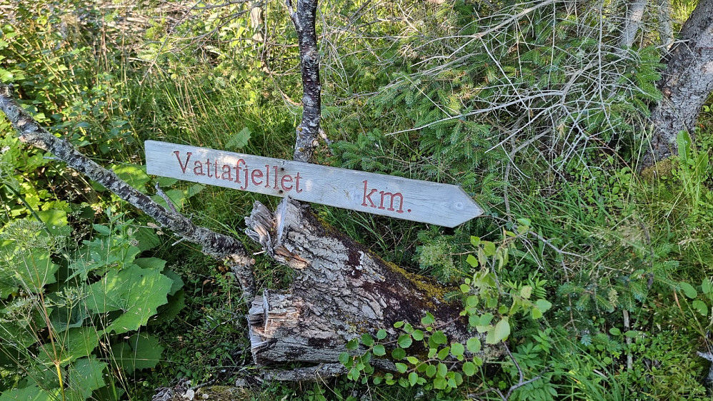 Rett etter vannet gikk stien av til venstre. Ikke lett å se da den var nærmest grodd igjen mot lysløypa og skiltet lå på bakken lengre inn