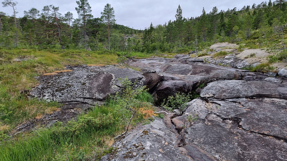Jeg slapp stien og gikk heller det tørre bekkeleiet