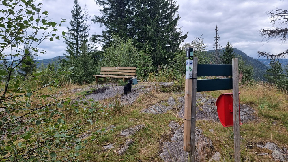 Svart stolpe på toppen