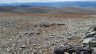 NJK500_20250814_689d9f0505730.jpg