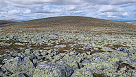 NJK500_20250814_689d9f066e955.jpg