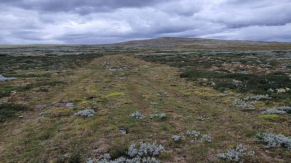 Lett å sykle her