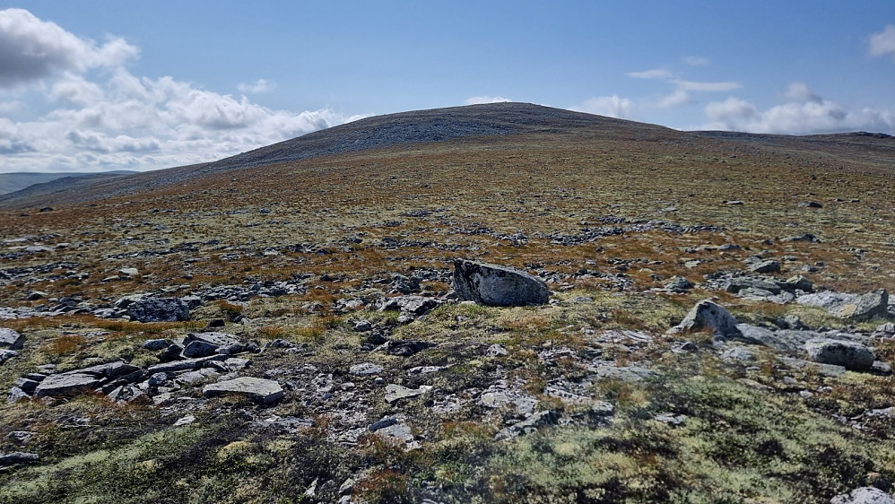 Jeg kunne sykle et stykke opp mot toppen, men måtte ta beina fatt siste biten opp fjellet