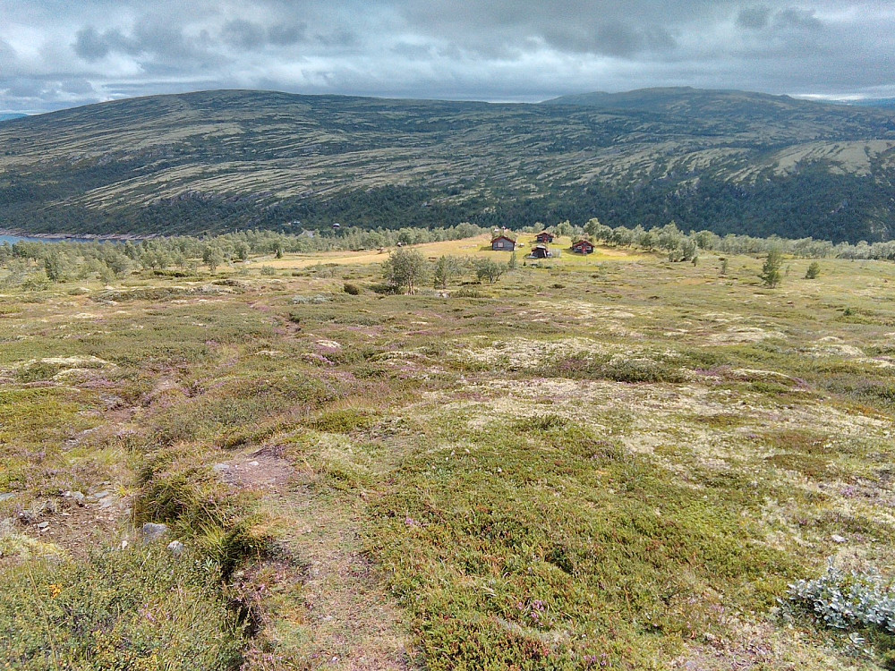 Tilbakeblikk litt oppe i lia