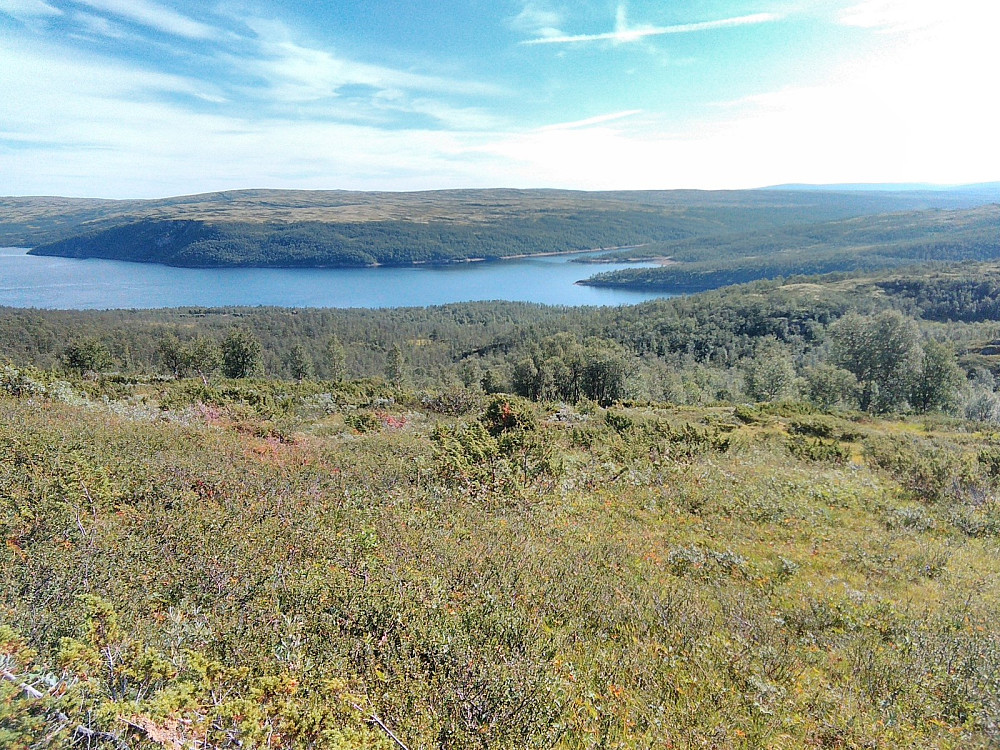 Tilbakeblikk i det jeg kom opp av skogen