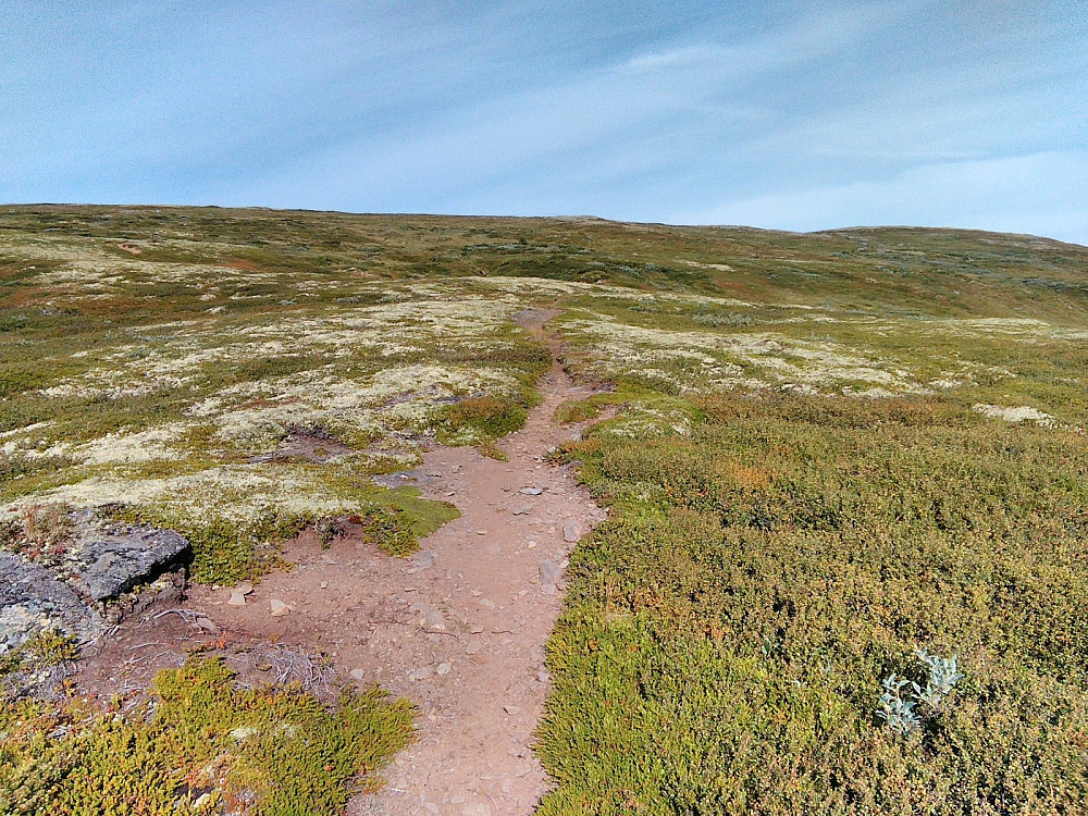Fin sti opp skogen og et stykke opp fjellet