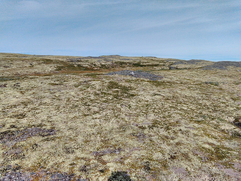 Her dukket det opp noe som lignet på en topp