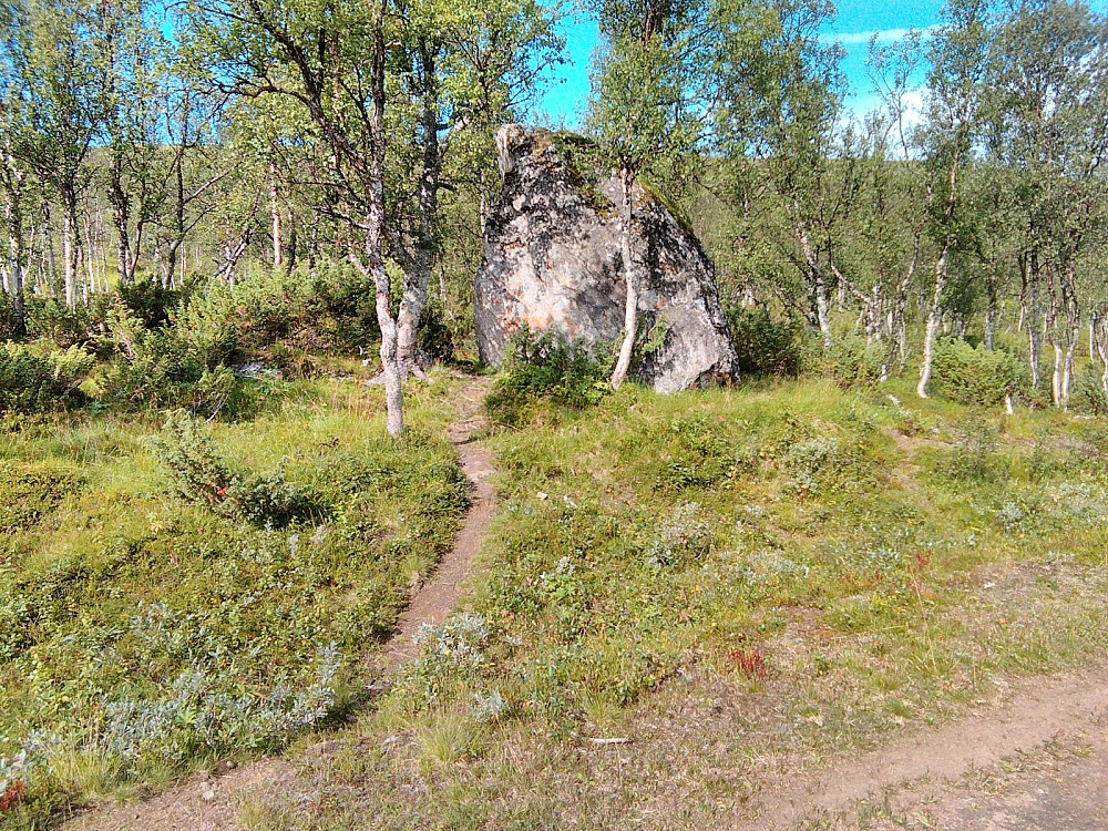 Her kom jeg ned på veien igjen. Stistart var markert med en real stein.