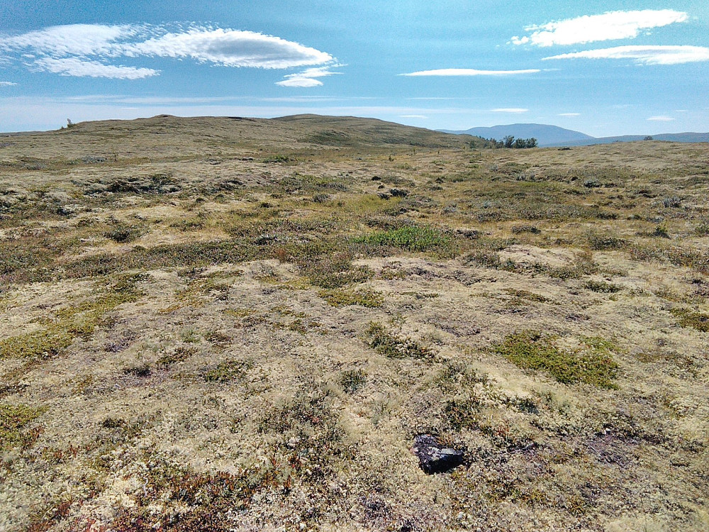 Langt å gå, og oppe på fjellet var det bare stedvis noen sauetråkk å følge