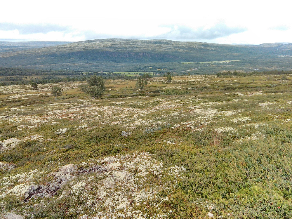 Tilbakeblikk oppe i fjellsiden. Her var det bare sporadiske sauetråkk å følge.