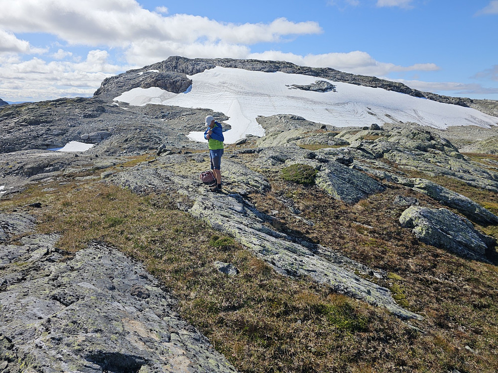 På toppen av Vassdalseggi ble vi enige om å ta en tur også opp på Kistenuten. Vi krysset dalen og kom oss opp nok en fjellside