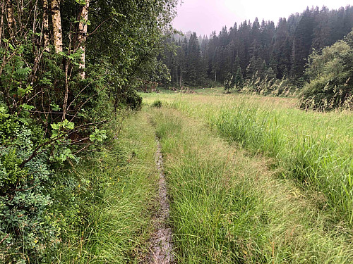 Traktorveien