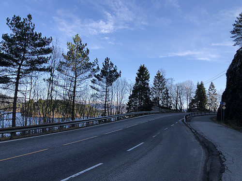 Steinsvikveien i Ytrebygda