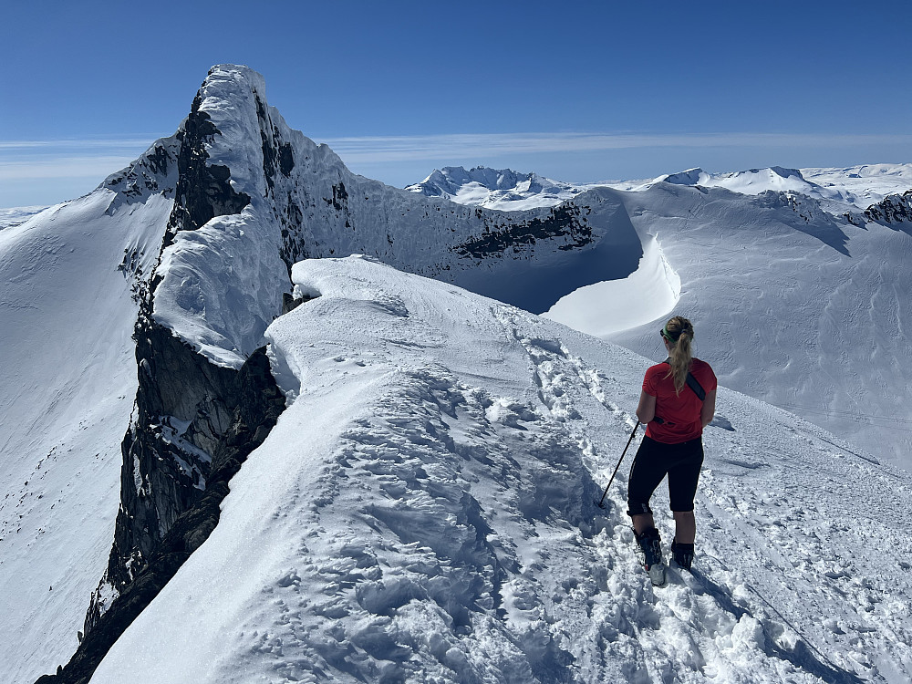 På toppen av Veslebjørn Nord med utsikt mot ikoniske Bjørneggen