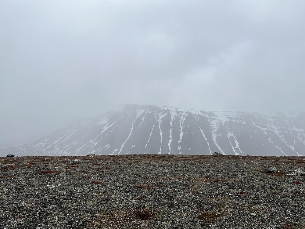 Rankonøse sett fra Smådalsfjellet. Hadde trodd på det dersom en person sa dette bildet var tatt på Svalbard.