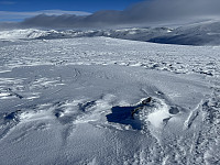 Toppunktet på Bjørnafjellet