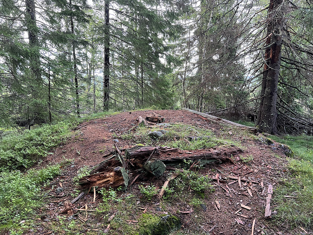 Toppen av Vardåsen
