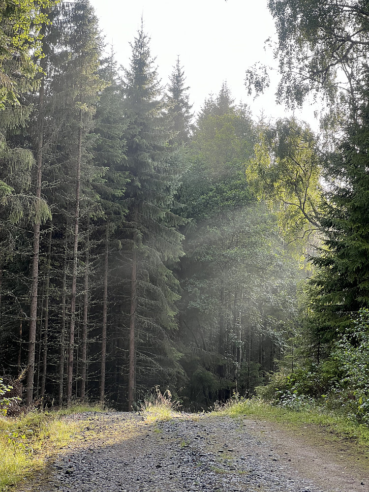 Anleggsveien