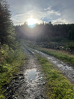 Regnet har gitt seg og solen gjør et desperat forsøk på å tørke opp