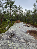Sør for Høyåsen (138 moh)