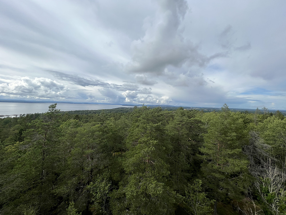 Utsikt mot Oslofjorden i nordlig retning fra toppen av utkikkstårnet på Vardås
