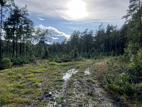 Anleggsveien jeg fulgte tilbake til Slangsvoldveien
