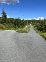 Den asfalterte veien fra Harehjellhytta. Fulgte veien til venstre opp mot Gastgiveren