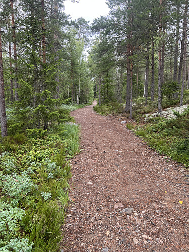 Kan ikke få en flottere sti
