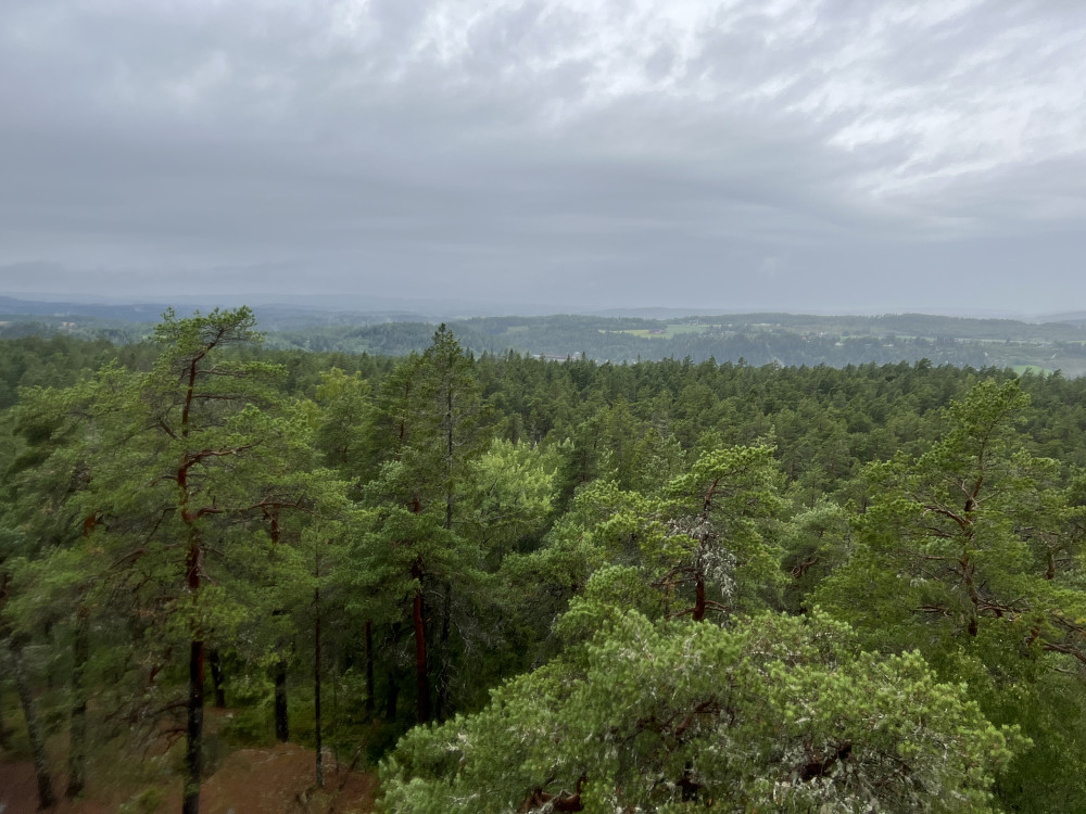 Utsikt fra tårnet på Vardeåsen