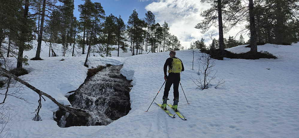 Tydelige vårtegn lengst nede