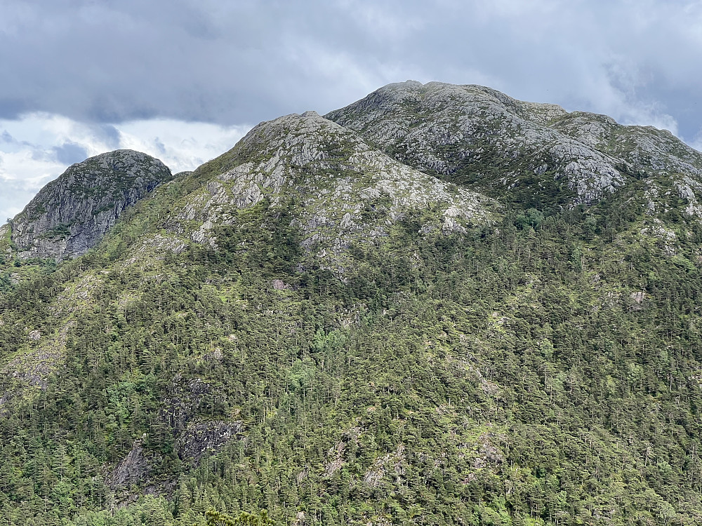 Austefjellet sett fra Dalsfjellet