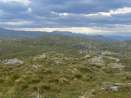 Utsikt fra varden mot toppunktet på Stølafjellet