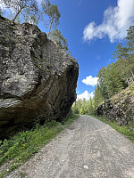 Anleggsveien gjennom Bjørndalen