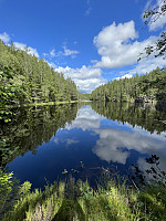 Nydelig morgen ved Langvannet
