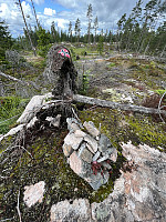Slavasshøgda