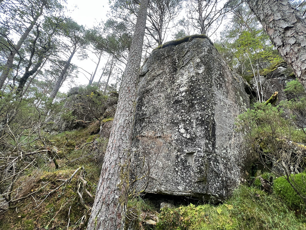 Rotete terreng på Verafjellet