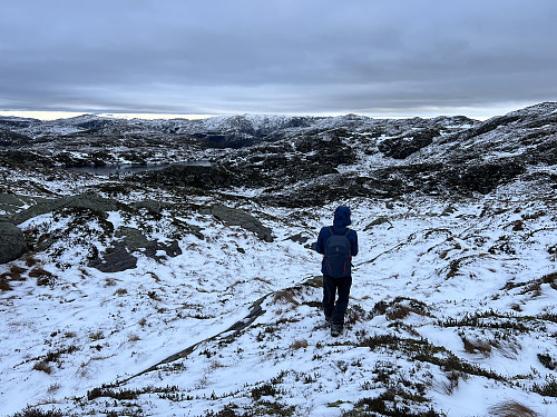 Over ryggen mot NØ fra Storenova