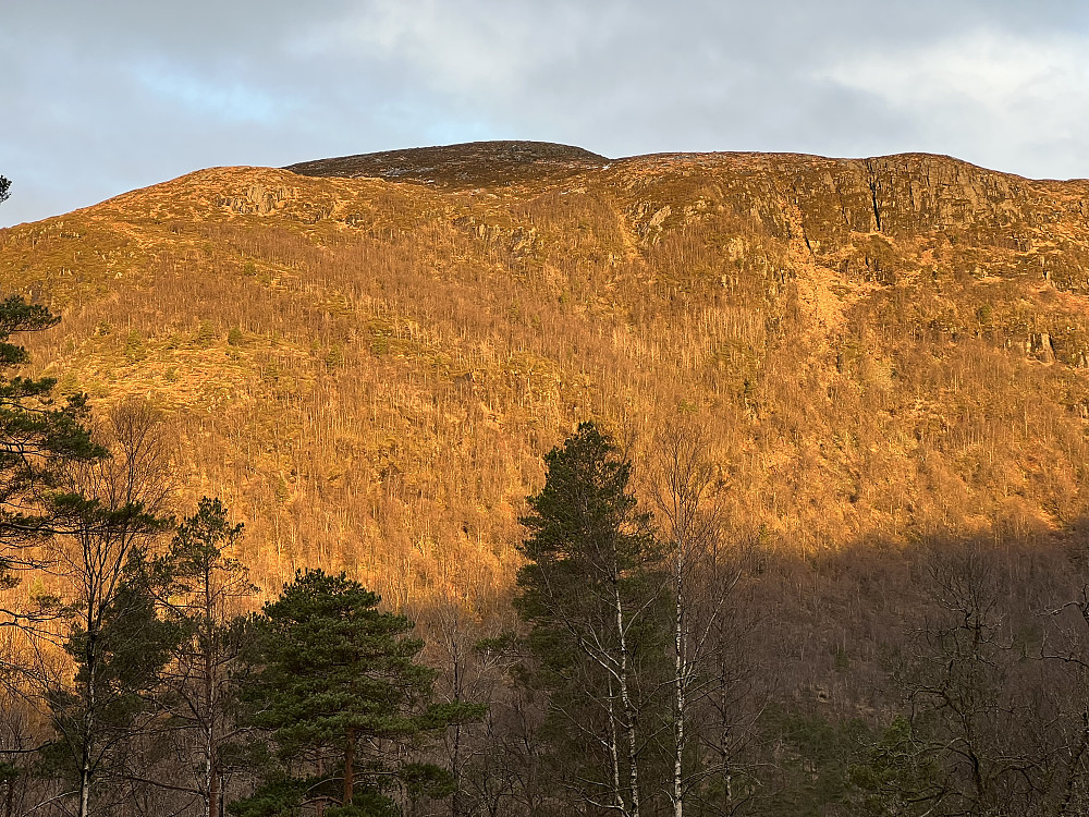 Storenova i flott morgensol