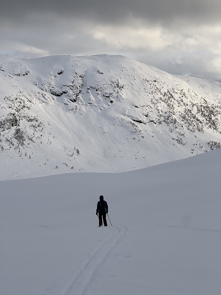 Natasha under nedkjøringen