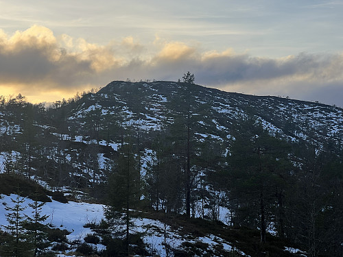 Slåttenovi