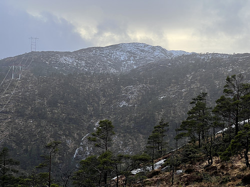 Vardefjellet sett fra oppstigningen mot Grønefjellet