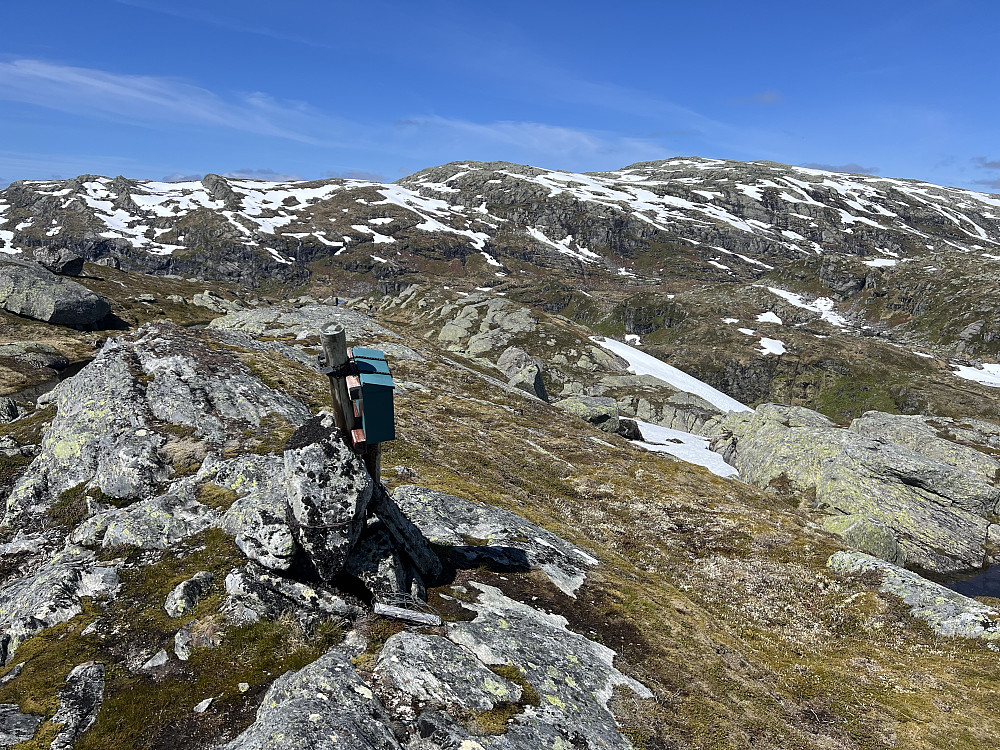 Toppen av Blåvasshorgi med Skjerjavasshovden i bakgrunnen