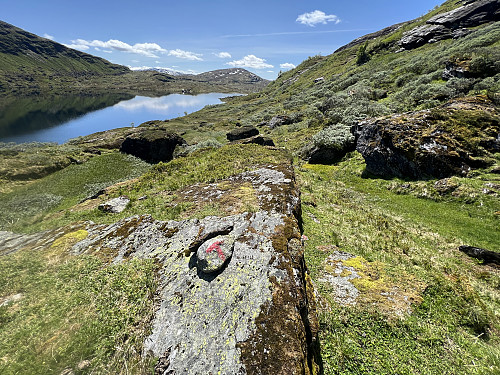 DNT-stien mellom Selhamar og Eksingedalen