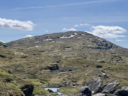 Storhaug sett fra nord