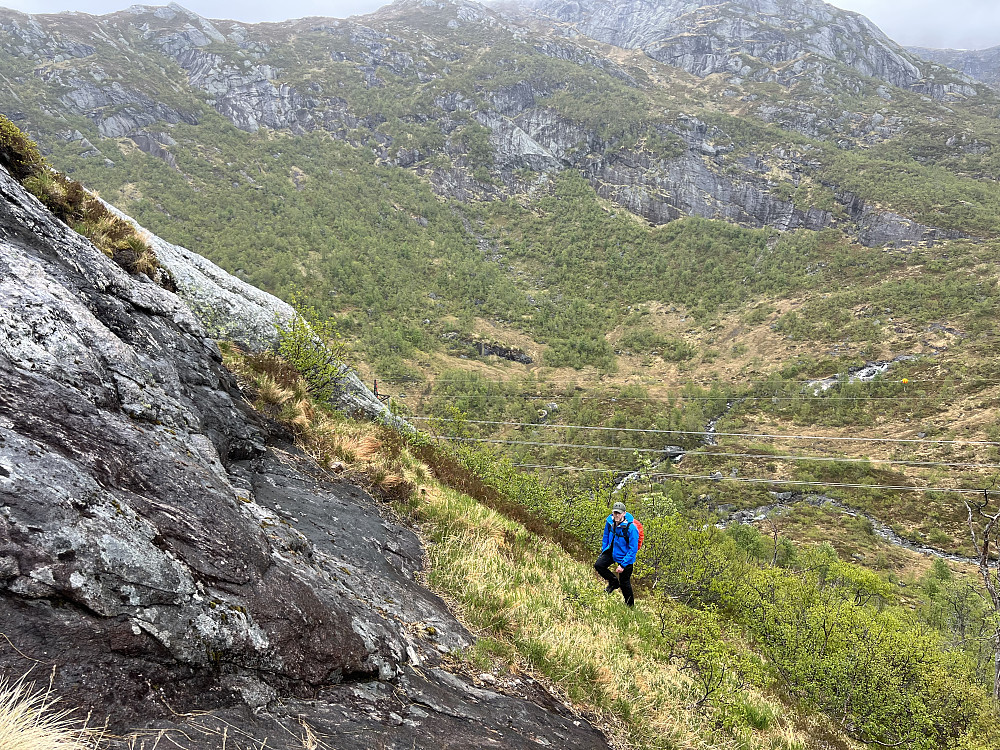 Bratt oppover ryggen mot Sørskarfjellet