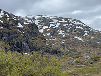 Blånipa