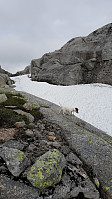 olgamariet_20220318_623478f2a3dc3.jpg