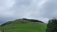 olgamariet_20220725_62de7fe6991bc.jpg