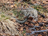 olgamariet_20230522_646b93c4f2c8a.jpg
